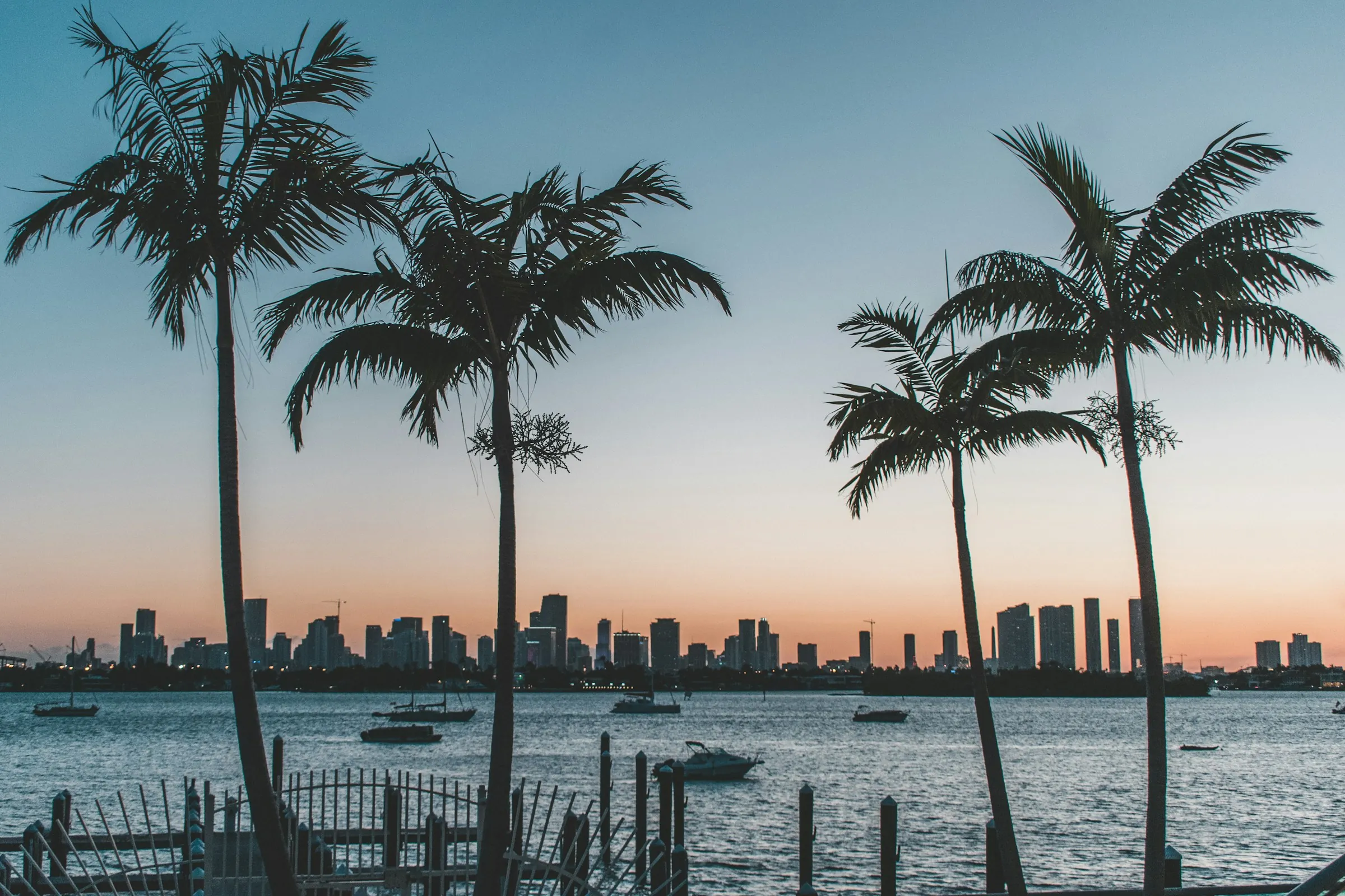 Palm trees at sunset over Biscayne Bay